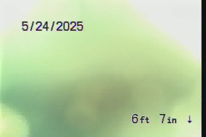 Frame